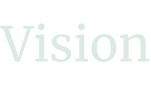 Vision